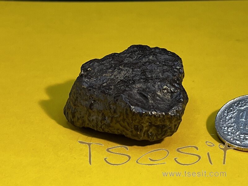 Tsesit - Handschmeichler extra gross