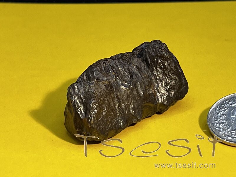 Tsesit - Handschmeichler extra gross