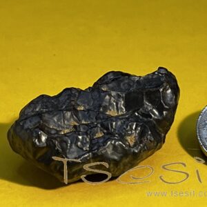 Tsesit - Handschmeichler gross