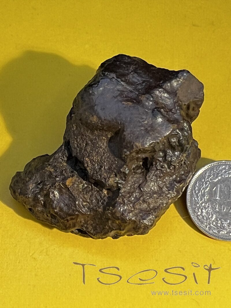 Tsesit - Handschmeichler extra gross