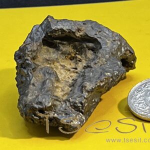 Tsesit - Handschmeichler extra gross